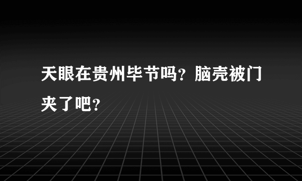 天眼在贵州毕节吗？脑壳被门夹了吧？