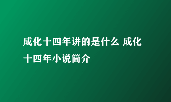 成化十四年讲的是什么 成化十四年小说简介