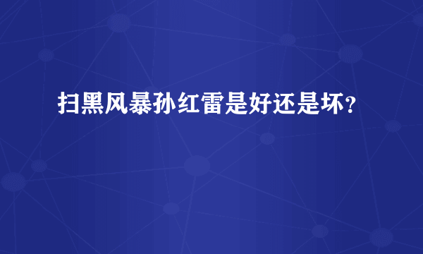 扫黑风暴孙红雷是好还是坏？