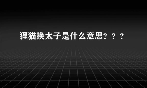 狸猫换太子是什么意思？？？