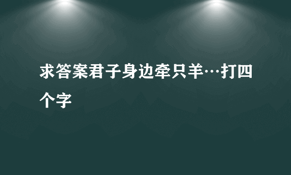 求答案君子身边牵只羊…打四个字