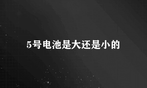 5号电池是大还是小的