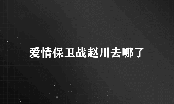 爱情保卫战赵川去哪了