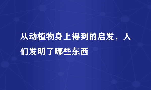 从动植物身上得到的启发，人们发明了哪些东西