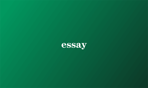 essay