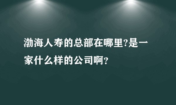 渤海人寿的总部在哪里?是一家什么样的公司啊？