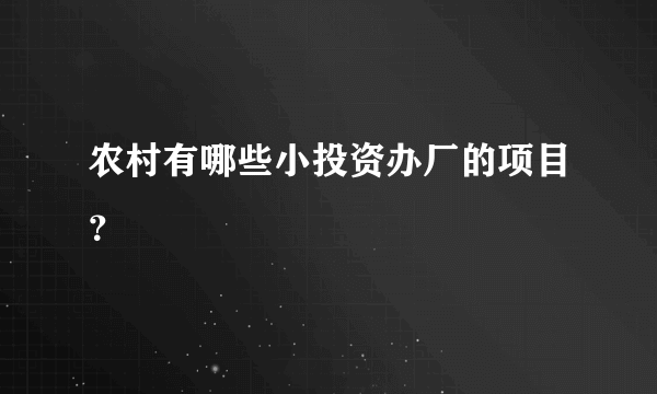 农村有哪些小投资办厂的项目？