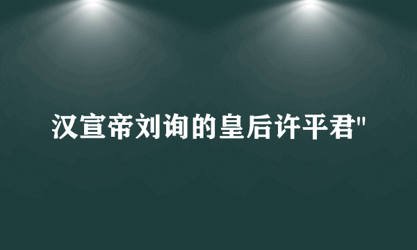 汉宣帝刘询的皇后许平君