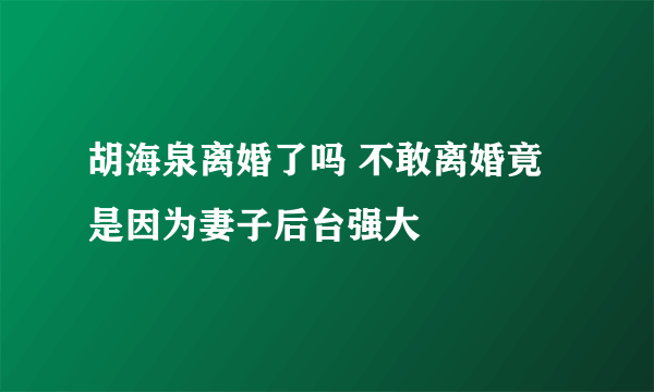 胡海泉离婚了吗 不敢离婚竟是因为妻子后台强大