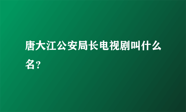 唐大江公安局长电视剧叫什么名？