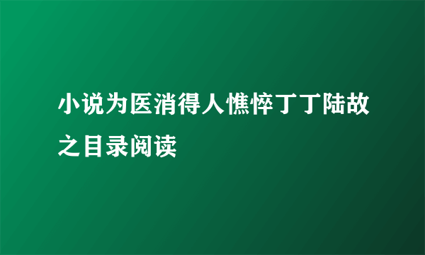 小说为医消得人憔悴丁丁陆故之目录阅读