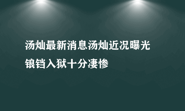 汤灿最新消息汤灿近况曝光  锒铛入狱十分凄惨