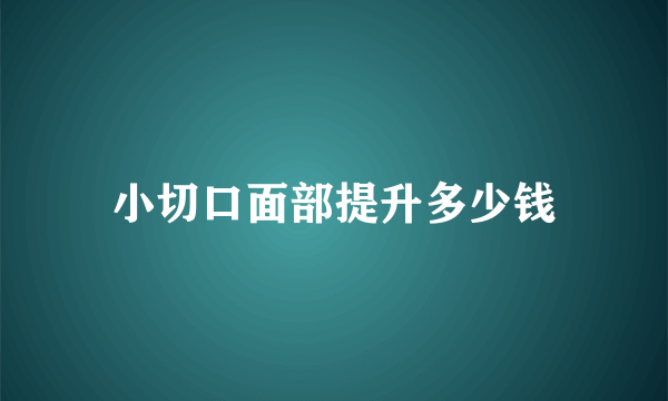 小切口面部提升多少钱