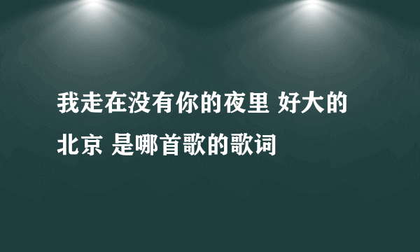 我走在没有你的夜里 好大的北京 是哪首歌的歌词