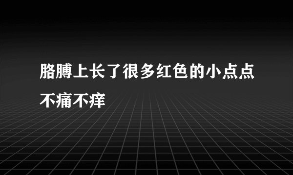 胳膊上长了很多红色的小点点不痛不痒