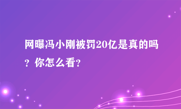 网曝冯小刚被罚20亿是真的吗？你怎么看？