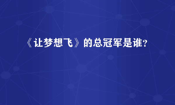 《让梦想飞》的总冠军是谁？