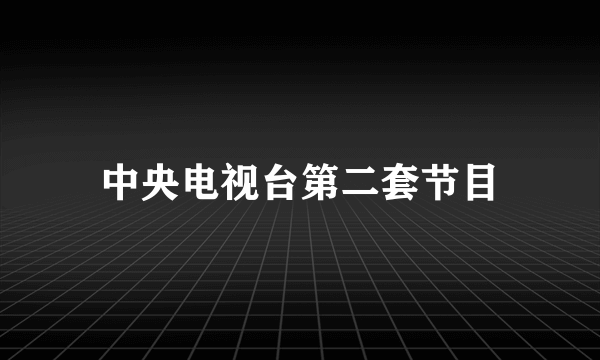 中央电视台第二套节目