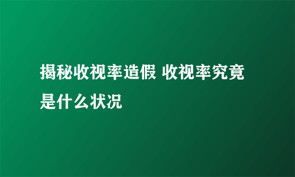 揭秘收视率造假 收视率究竟是什么状况