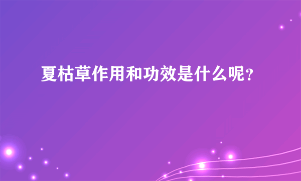 夏枯草作用和功效是什么呢？