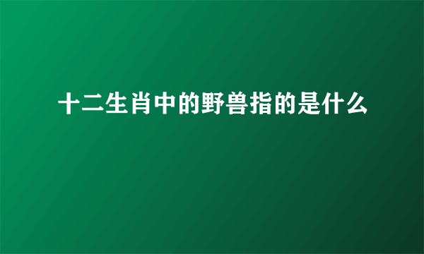 十二生肖中的野兽指的是什么