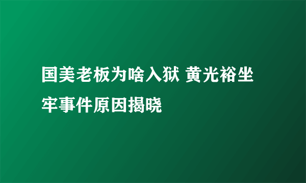 国美老板为啥入狱 黄光裕坐牢事件原因揭晓