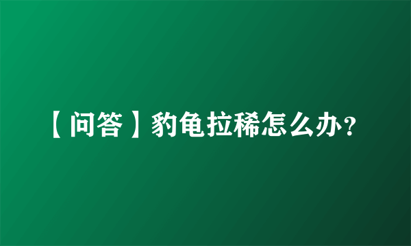 【问答】豹龟拉稀怎么办？