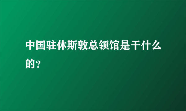 中国驻休斯敦总领馆是干什么的？