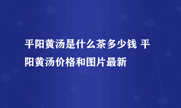 平阳黄汤是什么茶多少钱 平阳黄汤价格和图片最新