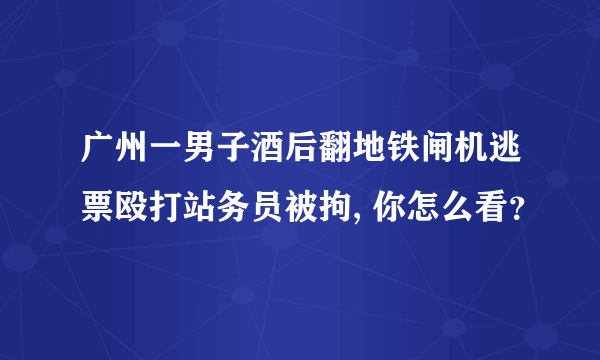 广州一男子酒后翻地铁闸机逃票殴打站务员被拘, 你怎么看？