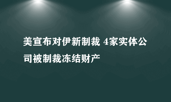 美宣布对伊新制裁 4家实体公司被制裁冻结财产