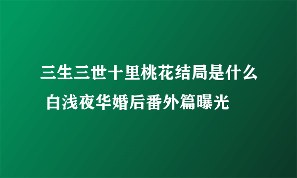 三生三世十里桃花结局是什么 白浅夜华婚后番外篇曝光