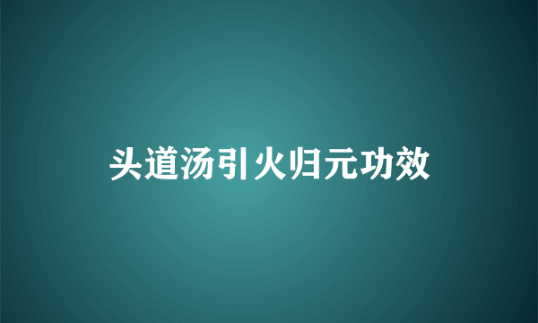 头道汤引火归元功效