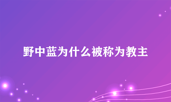 野中蓝为什么被称为教主