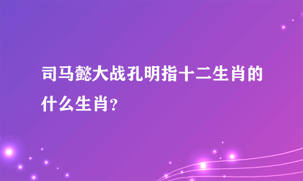 司马懿大战孔明指十二生肖的什么生肖？