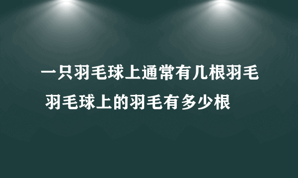 一只羽毛球上通常有几根羽毛 羽毛球上的羽毛有多少根