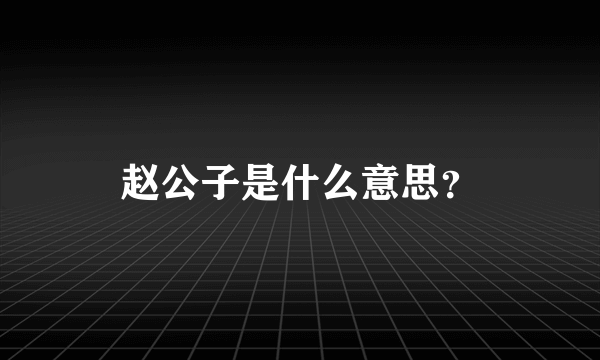 赵公子是什么意思？