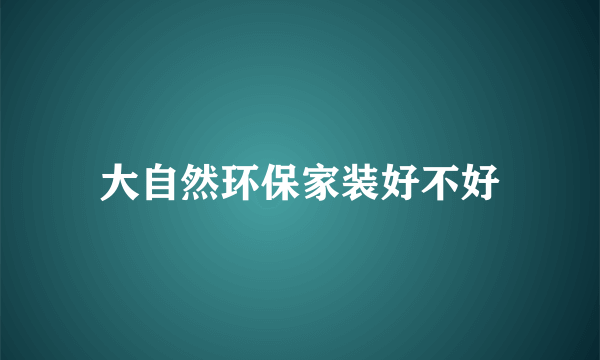 大自然环保家装好不好