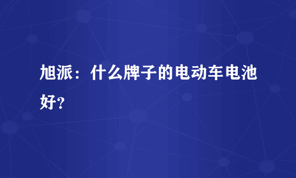 旭派：什么牌子的电动车电池好？