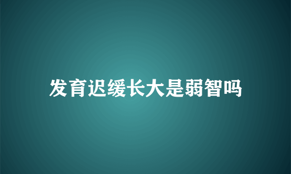 发育迟缓长大是弱智吗