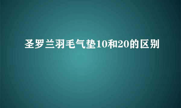 圣罗兰羽毛气垫10和20的区别