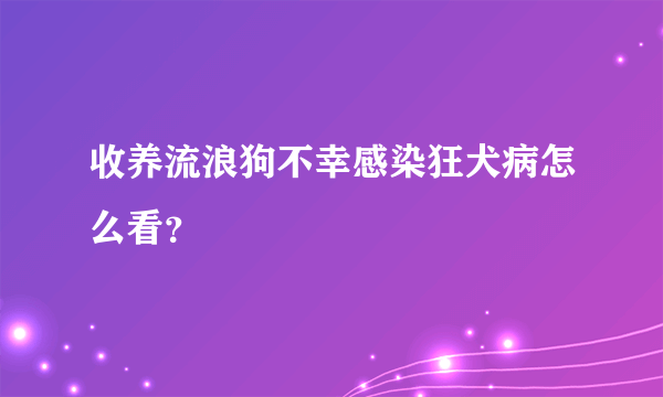 收养流浪狗不幸感染狂犬病怎么看？