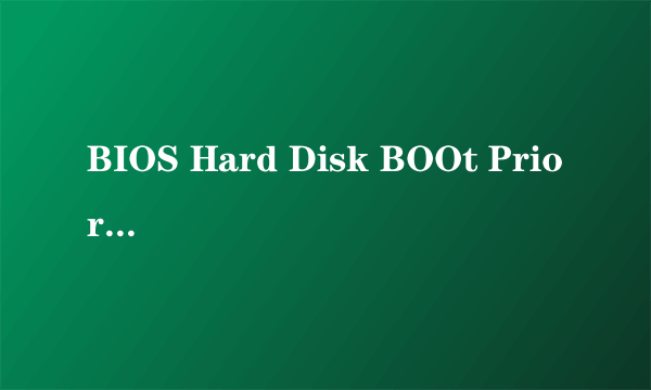 BIOS Hard Disk BOOt Priority 里只有两个选项,求U盘开启设置方法