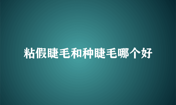 粘假睫毛和种睫毛哪个好