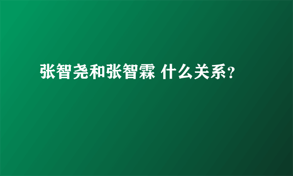 张智尧和张智霖 什么关系？