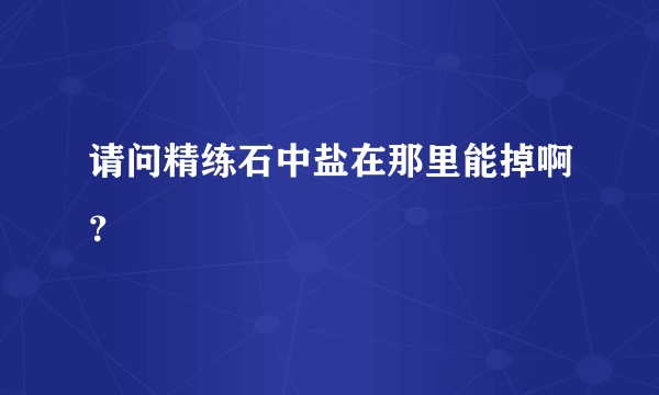 请问精练石中盐在那里能掉啊？