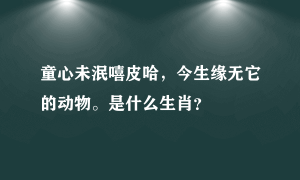 童心未泯嘻皮哈，今生缘无它的动物。是什么生肖？