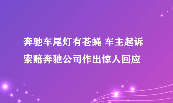 奔驰车尾灯有苍蝇 车主起诉索赔奔驰公司作出惊人回应