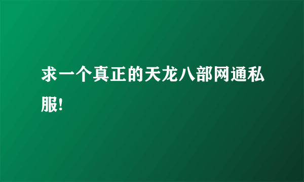 求一个真正的天龙八部网通私服!