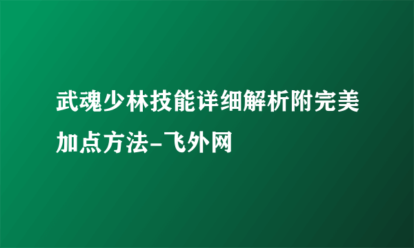 武魂少林技能详细解析附完美加点方法-飞外网